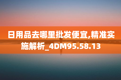 日用品去哪里批发便宜,精准实施解析_4DM95.58.13