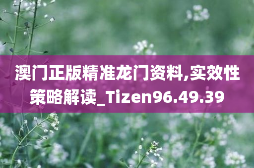 澳门正版精准龙门资料,实效性策略解读_Tizen96.49.39