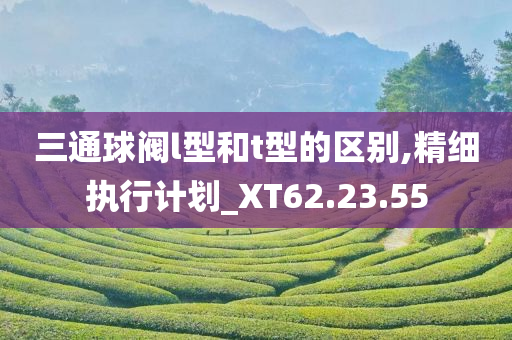 三通球阀l型和t型的区别,精细执行计划_XT62.23.55