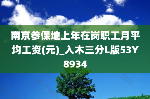 南京参保地上年在岗职工月平均工资(元)_入木三分L版53Y8934