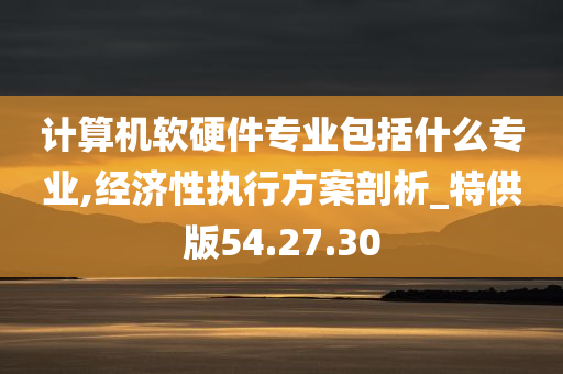 计算机软硬件专业包括什么专业,经济性执行方案剖析_特供版54.27.30