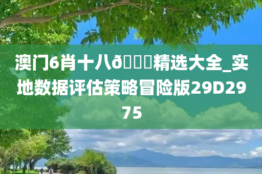 澳门6肖十八🐎精选大全_实地数据评估策略冒险版29D2975