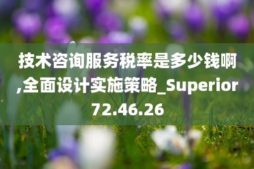 技术咨询服务税率是多少钱啊,全面设计实施策略_Superior72.46.26