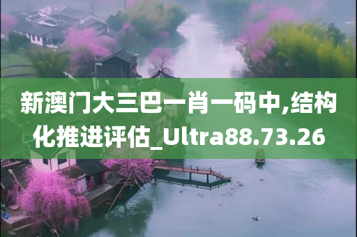 新澳门大三巴一肖一码中,结构化推进评估_Ultra88.73.26