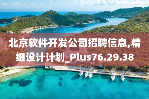 北京软件开发公司招聘信息,精细设计计划_Plus76.29.38