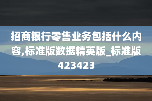 招商银行零售业务包括什么内容,标准版数据精英版_标准版423423