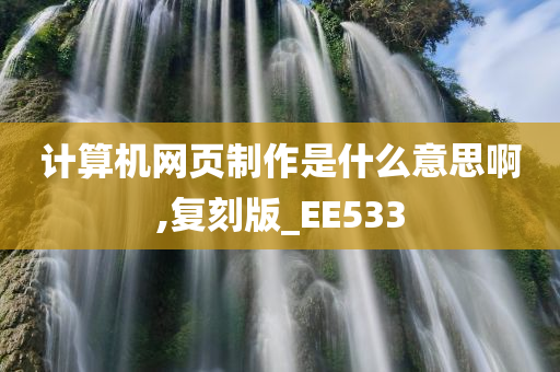 计算机网页制作是什么意思啊,复刻版_EE533