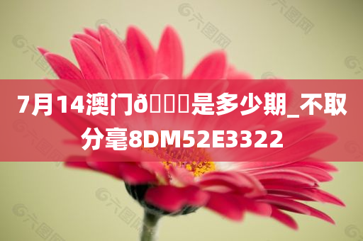 7月14澳门🐎是多少期_不取分毫8DM52E3322