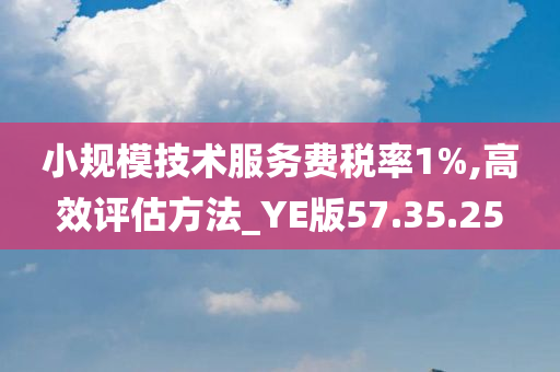 小规模技术服务费税率1%,高效评估方法_YE版57.35.25