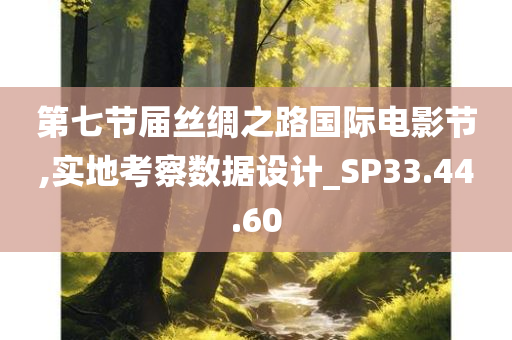 第七节届丝绸之路国际电影节,实地考察数据设计_SP33.44.60