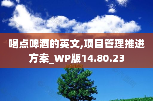 喝点啤酒的英文,项目管理推进方案_WP版14.80.23