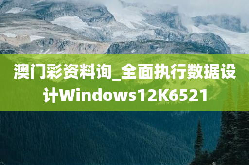 澳门彩资料询_全面执行数据设计Windows12K6521