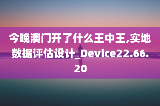 今晚澳门开了什么王中王,实地数据评估设计_Device22.66.20