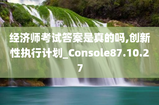 经济师考试答案是真的吗,创新性执行计划_Console87.10.27