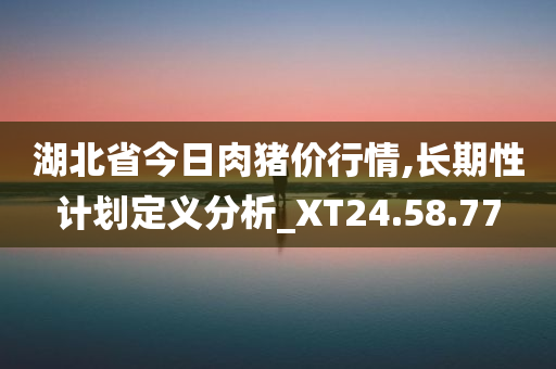 湖北省今日肉猪价行情,长期性计划定义分析_XT24.58.77