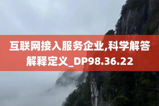 互联网接入服务企业,科学解答解释定义_DP98.36.22