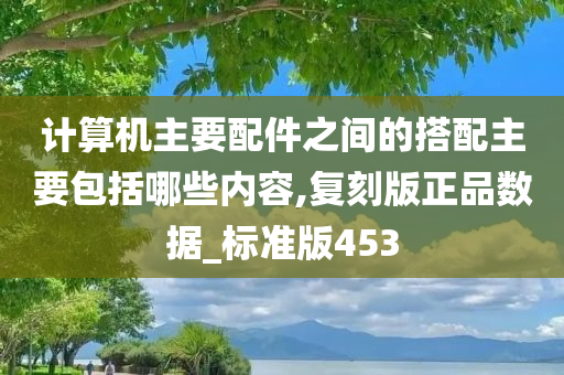 计算机主要配件之间的搭配主要包括哪些内容,复刻版正品数据_标准版453