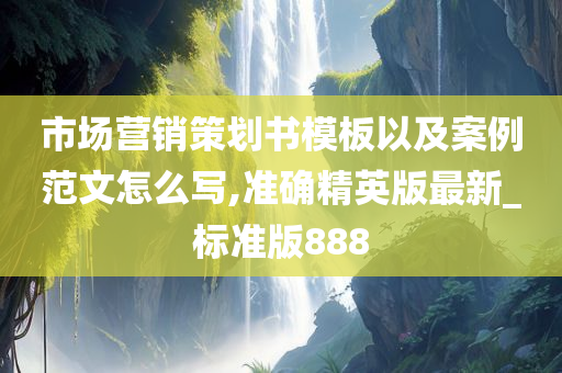 市场营销策划书模板以及案例范文怎么写,准确精英版最新_标准版888