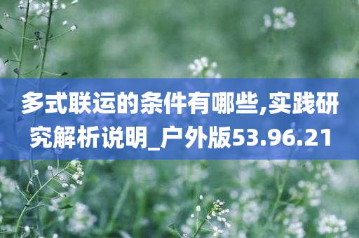 多式联运的条件有哪些,实践研究解析说明_户外版53.96.21