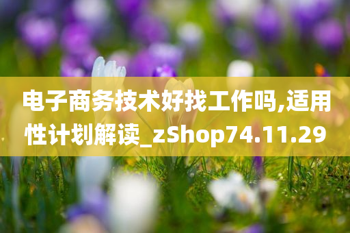 电子商务技术好找工作吗,适用性计划解读_zShop74.11.29