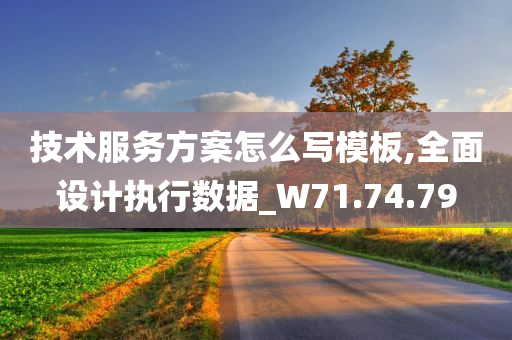 技术服务方案怎么写模板,全面设计执行数据_W71.74.79