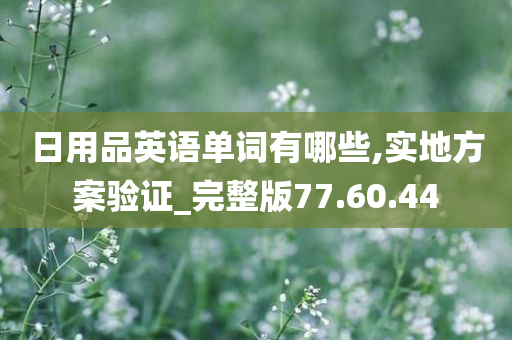 日用品英语单词有哪些,实地方案验证_完整版77.60.44