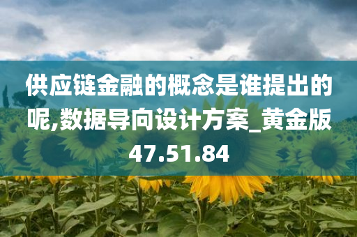 供应链金融的概念是谁提出的呢,数据导向设计方案_黄金版47.51.84