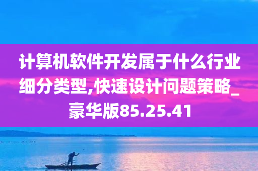 计算机软件开发属于什么行业细分类型,快速设计问题策略_豪华版85.25.41