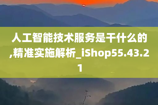 人工智能技术服务是干什么的,精准实施解析_iShop55.43.21