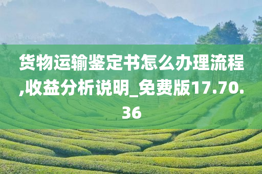 货物运输鉴定书怎么办理流程,收益分析说明_免费版17.70.36