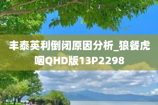 丰泰英利倒闭原因分析_狼餐虎咽QHD版13P2298