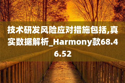 技术研发风险应对措施包括,真实数据解析_Harmony款68.46.52