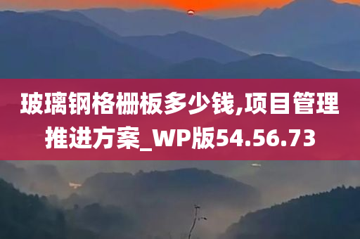 玻璃钢格栅板多少钱,项目管理推进方案_WP版54.56.73