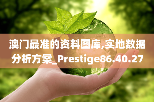 澳门最准的资料图库,实地数据分析方案_Prestige86.40.27