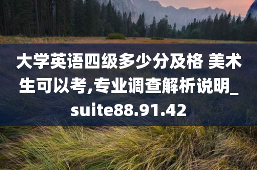 大学英语四级多少分及格 美术生可以考,专业调查解析说明_suite88.91.42