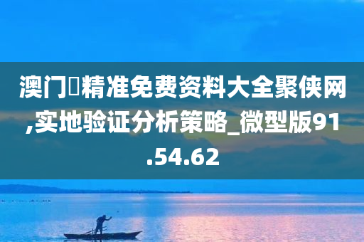 澳门乛精准免费资料大全聚侠网,实地验证分析策略_微型版91.54.62