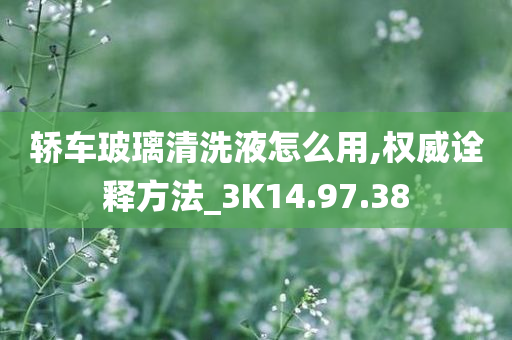 轿车玻璃清洗液怎么用,权威诠释方法_3K14.97.38