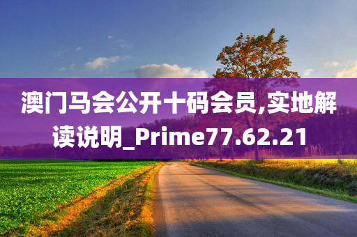 澳门马会公开十码会员,实地解读说明_Prime77.62.21