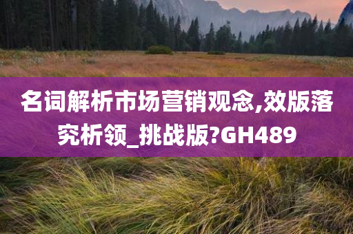 名词解析市场营销观念,效版落究析领_挑战版?GH489