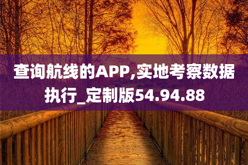 查询航线的APP,实地考察数据执行_定制版54.94.88