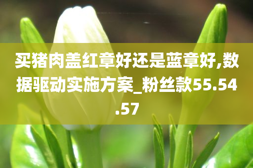 买猪肉盖红章好还是蓝章好,数据驱动实施方案_粉丝款55.54.57