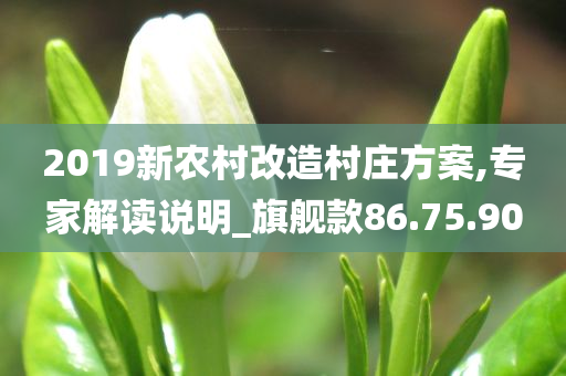 2019新农村改造村庄方案,专家解读说明_旗舰款86.75.90