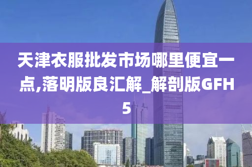 天津衣服批发市场哪里便宜一点,落明版良汇解_解剖版GFH5