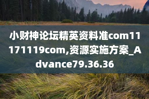 小财神论坛精英资料准com11171119com,资源实施方案_Advance79.36.36