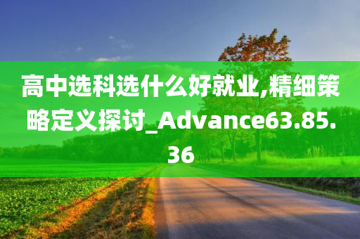 高中选科选什么好就业,精细策略定义探讨_Advance63.85.36