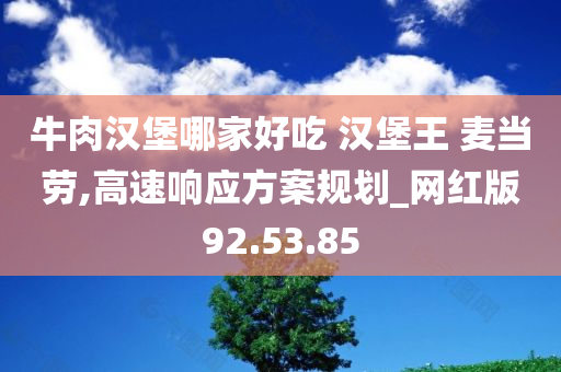 牛肉汉堡哪家好吃 汉堡王 麦当劳,高速响应方案规划_网红版92.53.85