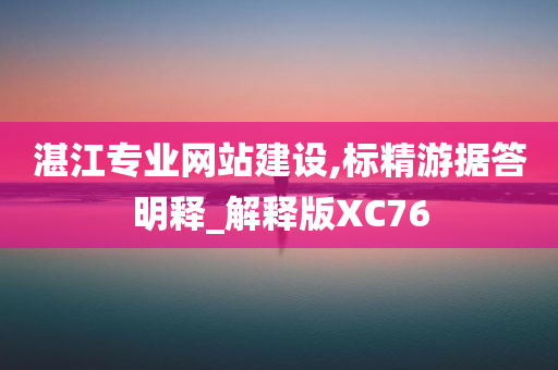 湛江专业网站建设,标精游据答明释_解释版XC76