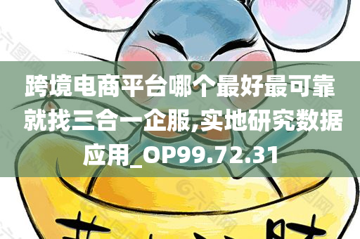 跨境电商平台哪个最好最可靠 就找三合一企服,实地研究数据应用_OP99.72.31