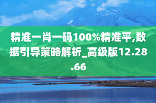 精准一肖一码100%精准平,数据引导策略解析_高级版12.28.66