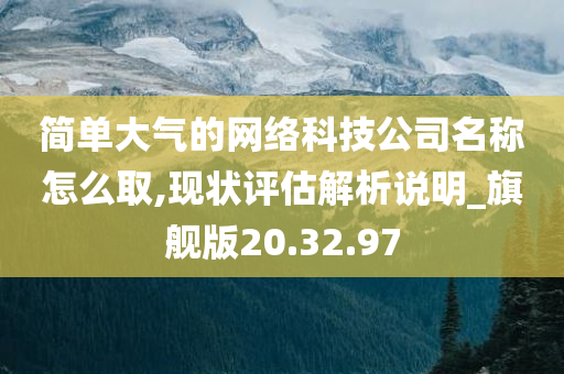 简单大气的网络科技公司名称怎么取,现状评估解析说明_旗舰版20.32.97